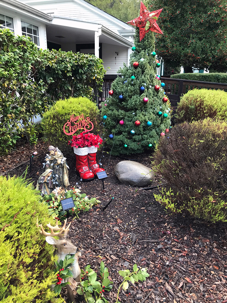 A Christmas Tree Reflection