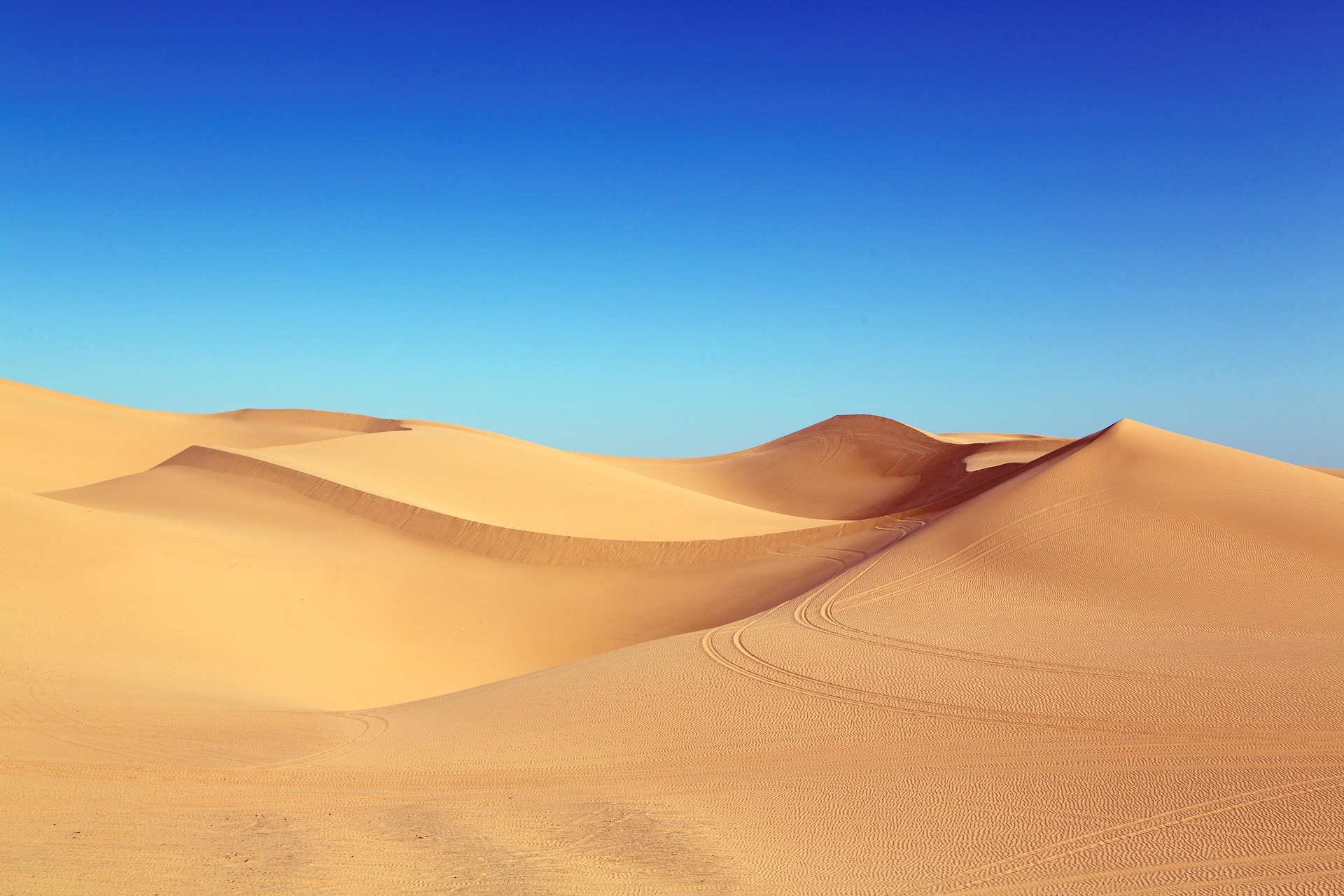 A Desert Lenten Reflection