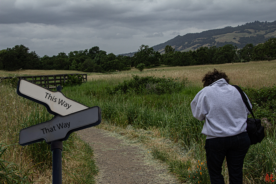 At the Crossroads