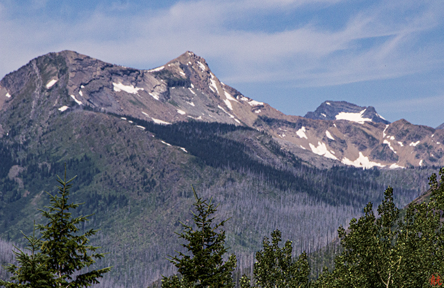 Present in All Directions