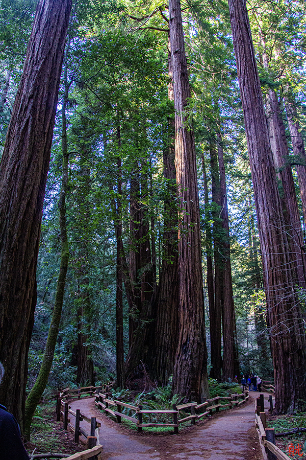 Wisdom of John Muir