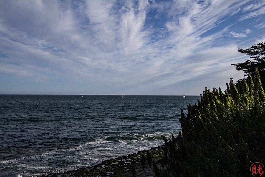 The Wisdom of the Dalai Lama