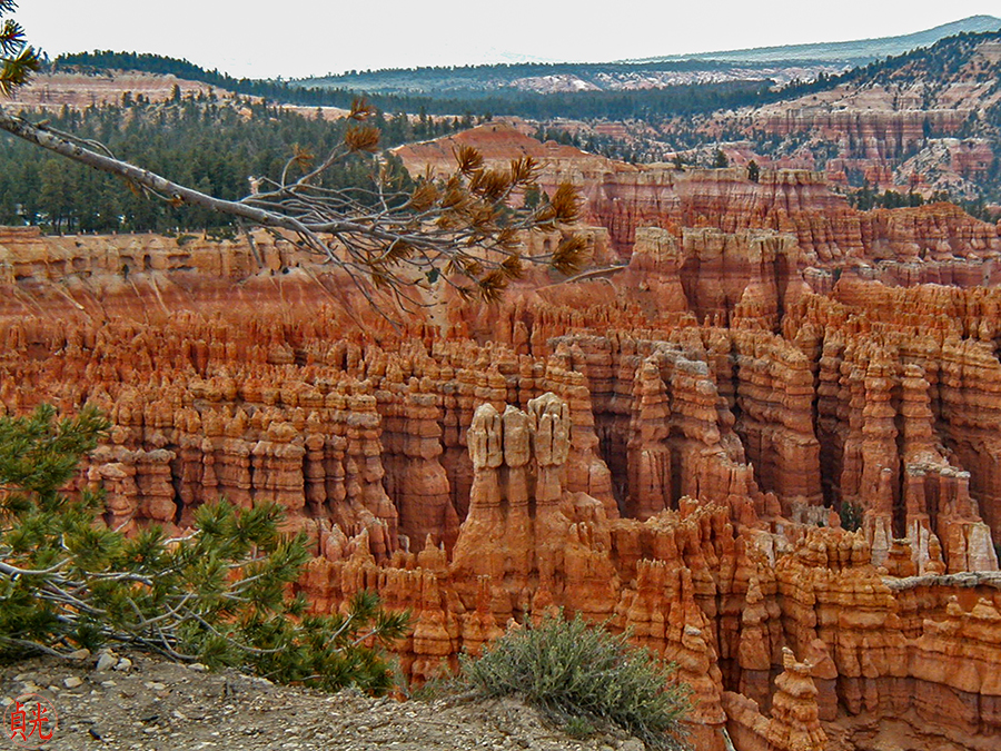 Intrusions of Beauty