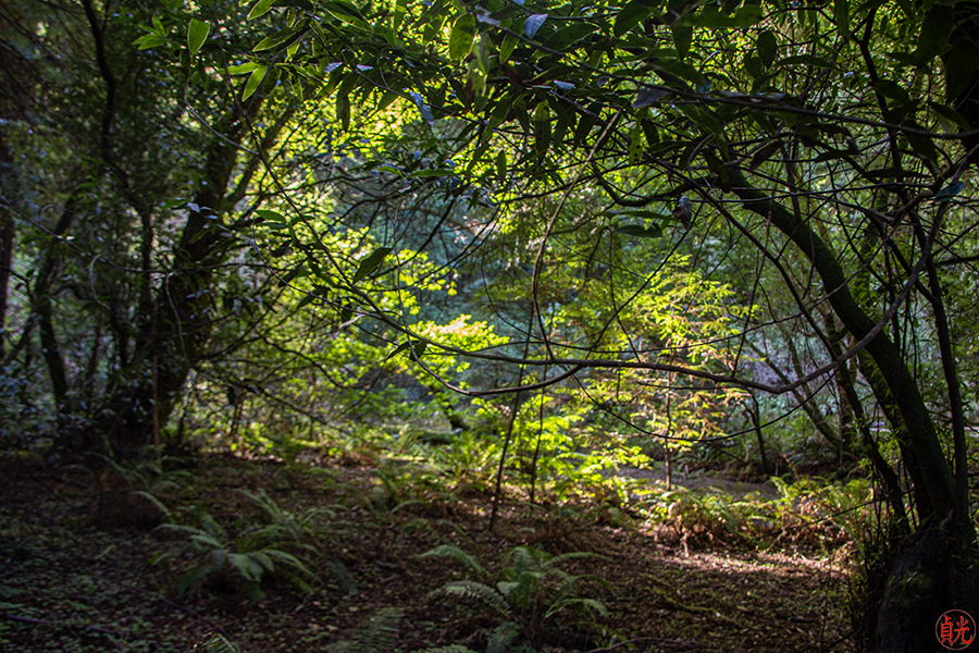 Wisdom of Wendell Berry