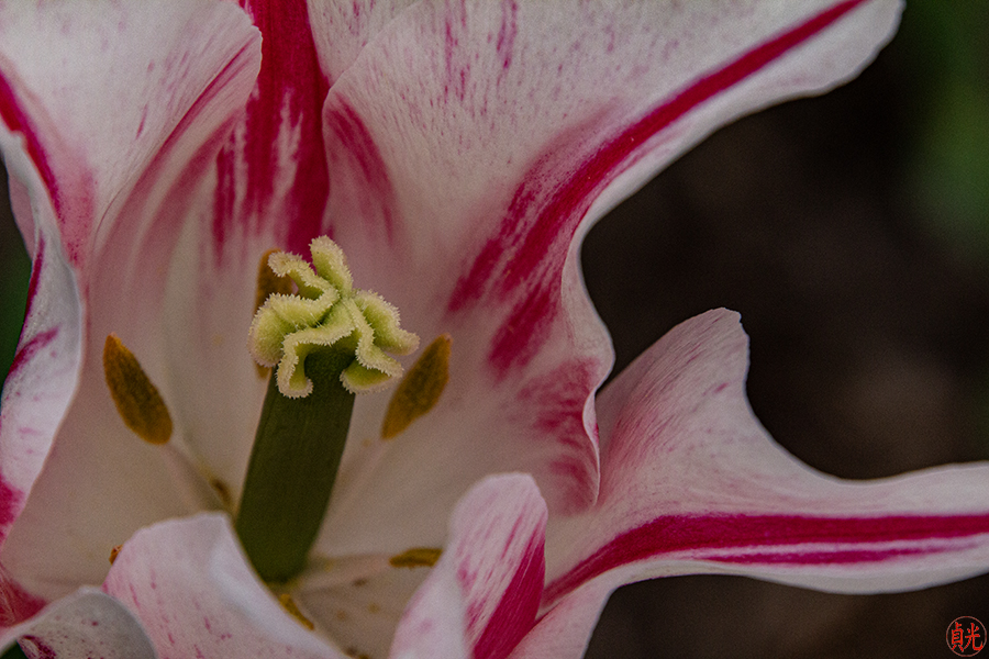 Look Deeply